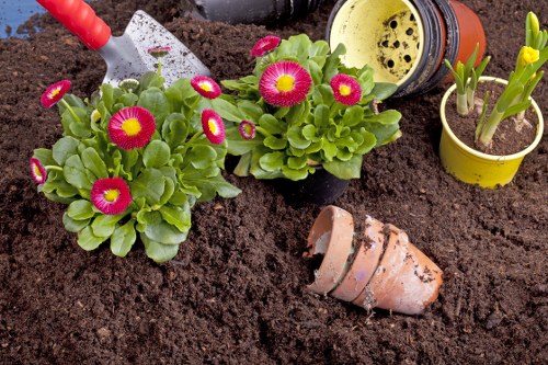 Gardening services in Cudham maintaining a neat local garden