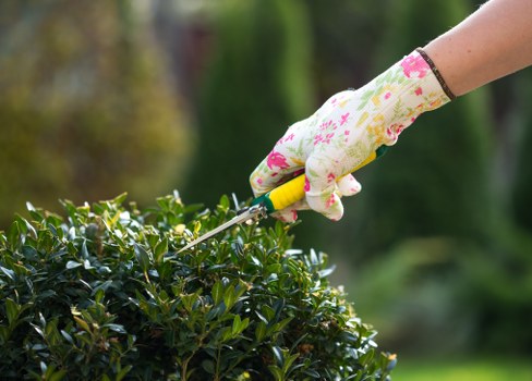 Gardener preparing an outdoor service agreement