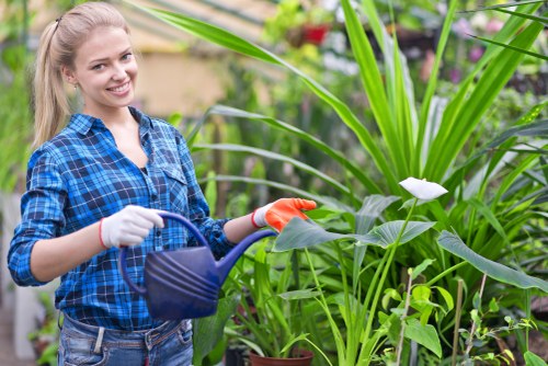 Garden maintenance in Cudham with neatly trimmed lawns and borders