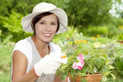 Lawn care and pruning as part of garden maintenance in Cudham