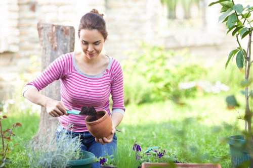 Professional lawn mowing service for a tidy Cudham property