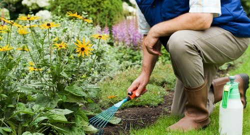 Keyboard navigation and readable garden services page