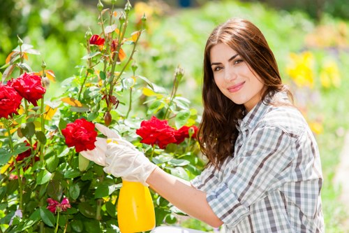 Seasonal lawn maintenance in Cudham with mowing and feeding