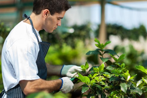 Autumn gardening services in Cudham clearing leaves and borders
