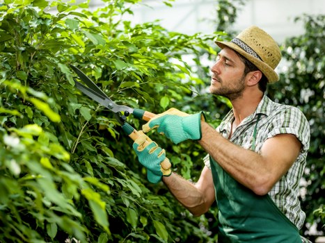 Staff in PPE completing gardening work in Cudham
