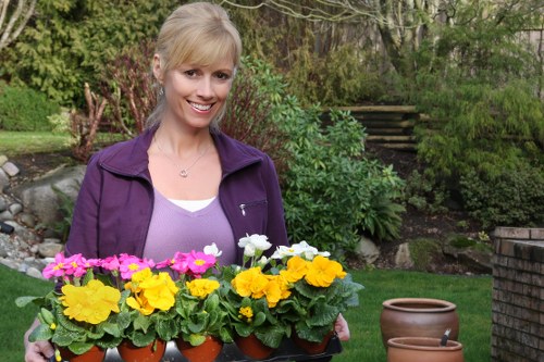 Low-carbon van used for sustainable gardening visits
