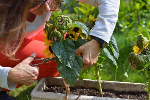 Soft landscaping with shrubs, lawn, and seasonal planting in Cudham
