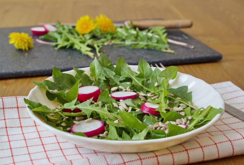 landscape design Garden